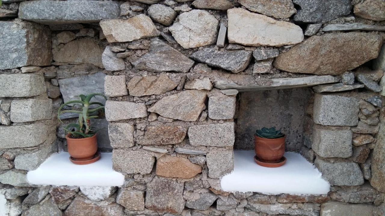 Sunny Guest House New Port Mykonos Тоурлос Экстерьер фото